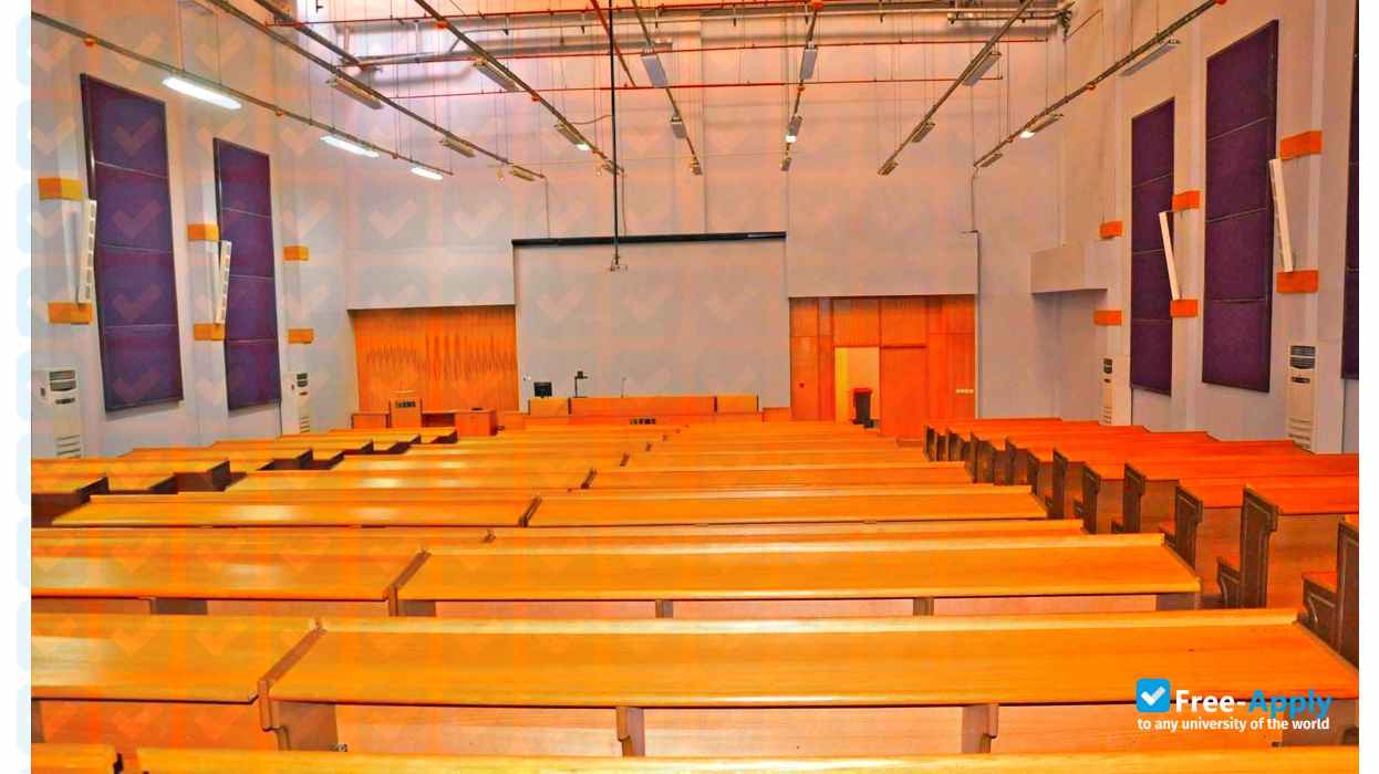 Foto de la International Academy for Engineering & Media Sciences #7