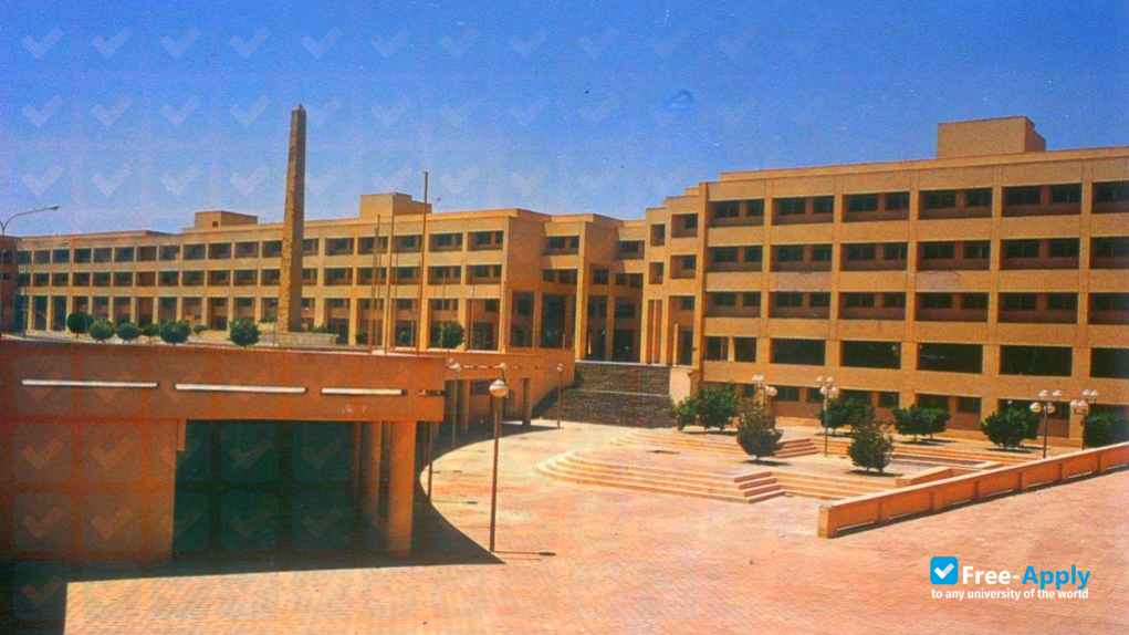 University of Sadat City photo #3