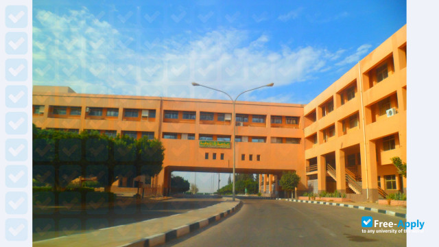 Foto de la University of Sadat City #2