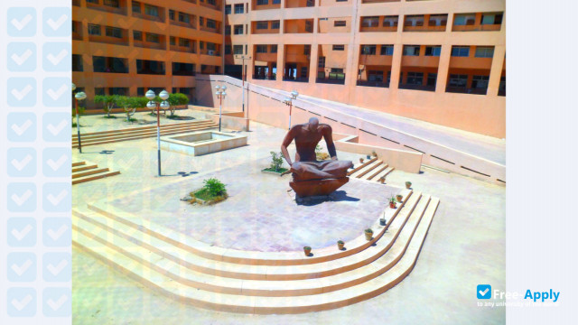 University of Sadat City фотография №8