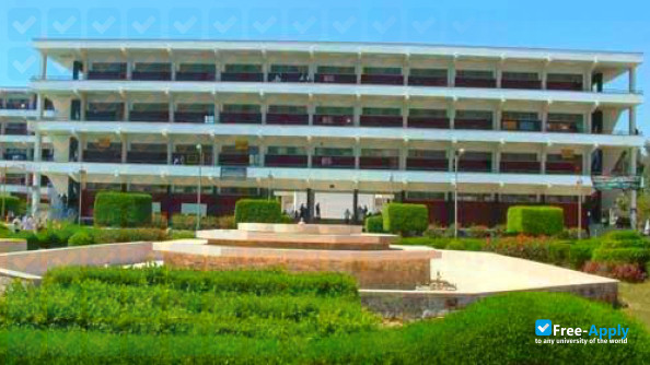 Photo de l’Minia University #9