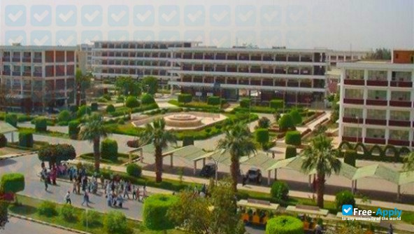 Photo de l’Minia University #10
