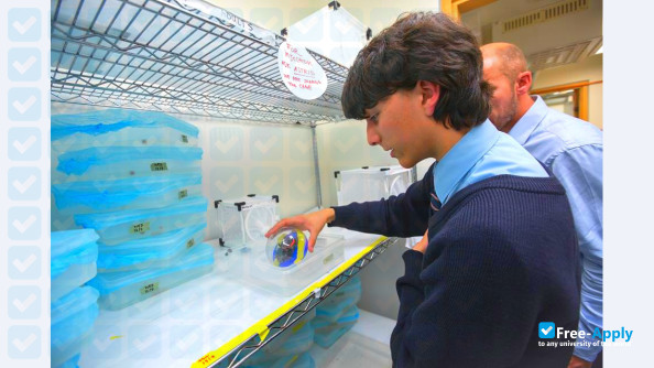 Foto de la Imperial College London #4