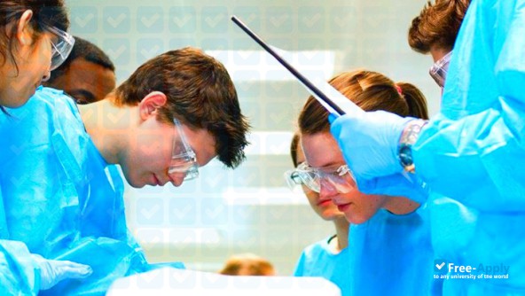 Photo de l’Brighton and Sussex Medical School #8