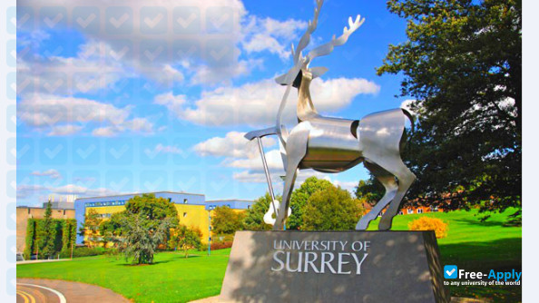 University of Surrey фотография №5