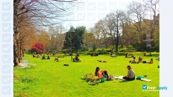 University College London photo #9