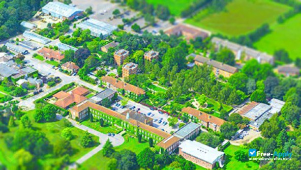 Photo de l’Writtle University College #3