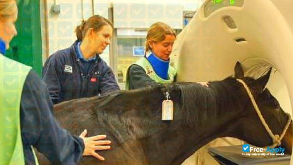 Foto de la Royal Veterinary College #2