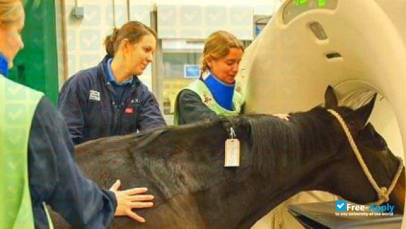 Foto de la Royal Veterinary College #3