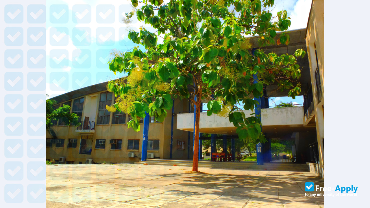 Ardhi University photo #3