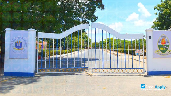 Dar es Salaam University College of Education photo #1