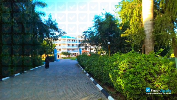 International Medical & Technological University фотография №3