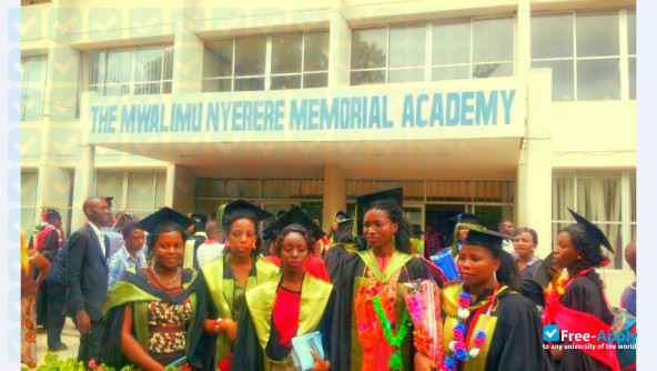 Foto de la Mwalimu Nyerere Memorial Academy #4