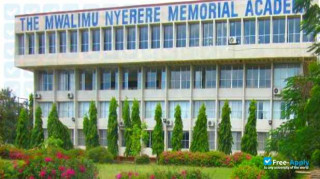 Miniatura de la Mwalimu Nyerere Memorial Academy #5