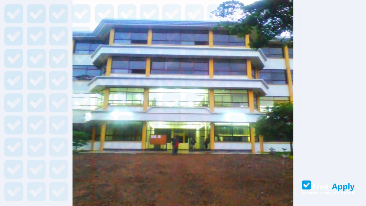 Mwenge Catholic University photo #7