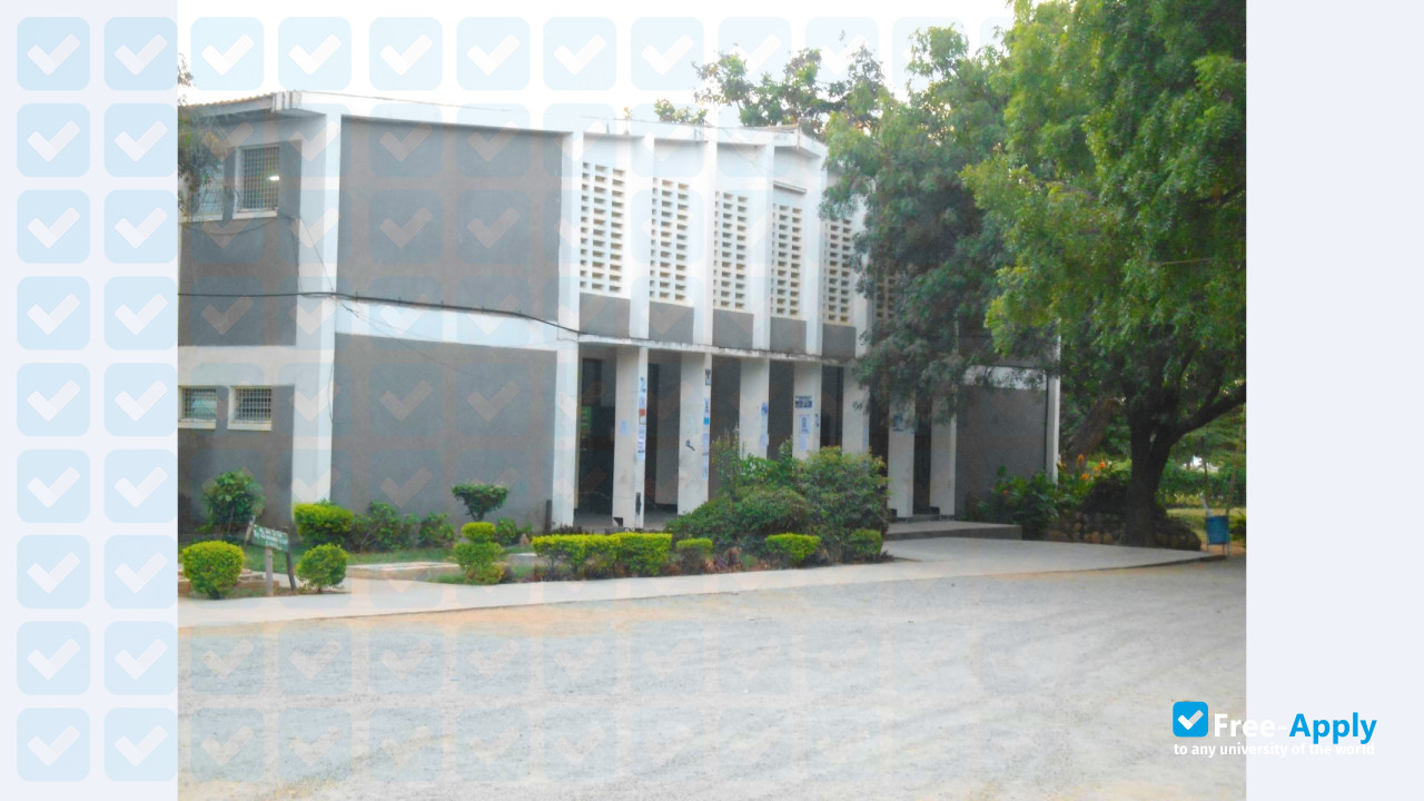 Saint John's University of Tanzania фотография №3