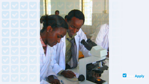 St Francis University College of Health and Allied Sciences photo #6