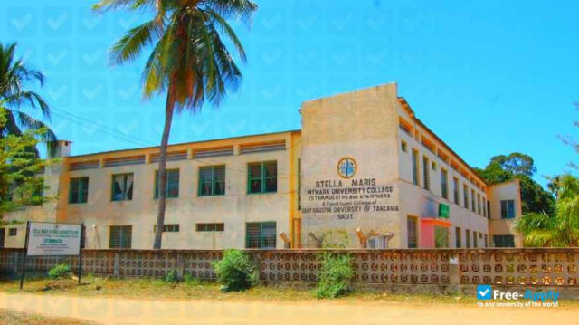 Stella Maris Mtwara University College photo #1