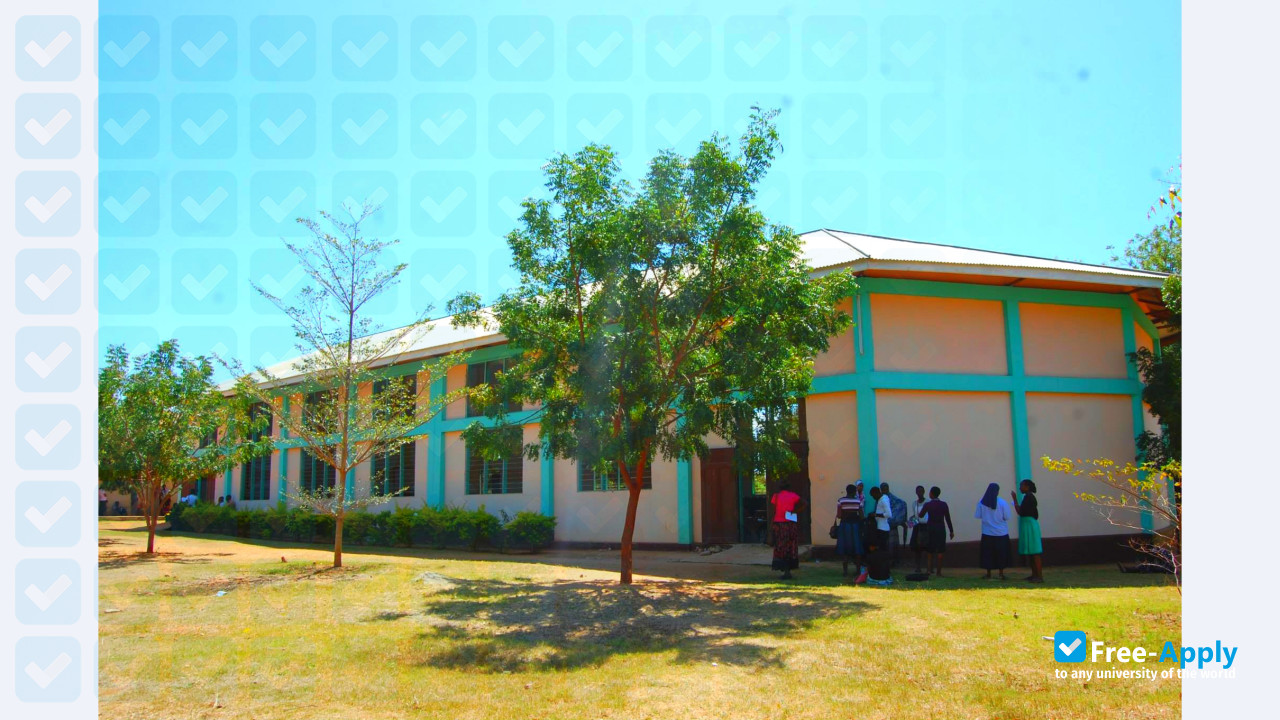 Stella Maris Mtwara University College photo #4