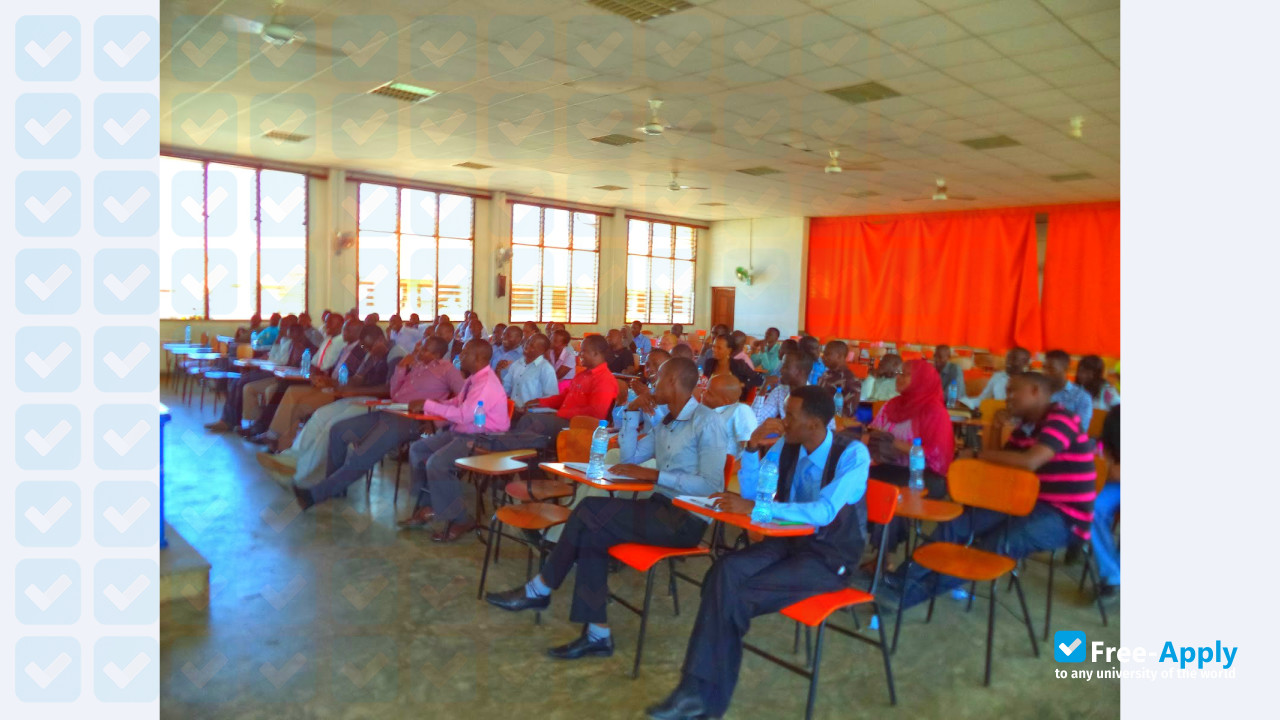 Stella Maris Mtwara University College photo #2