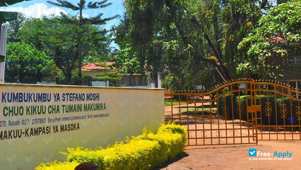 Photo de l’Tumaini University Stefano Moshi Memorial University College #9