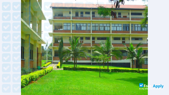University of Iringa photo #7