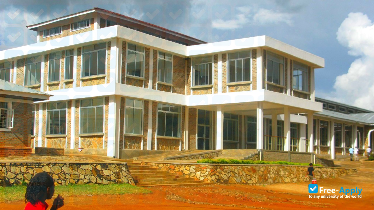 University of Iringa photo #4