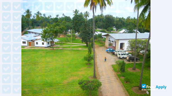 Tanzanian Training Centre for International Health photo #7