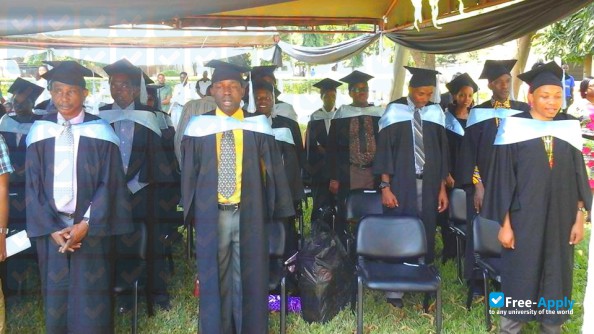 Tanzanian Training Centre for International Health photo #8