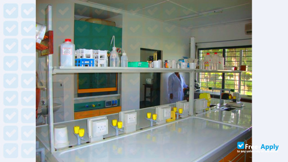 Tanzanian Training Centre for International Health photo #5