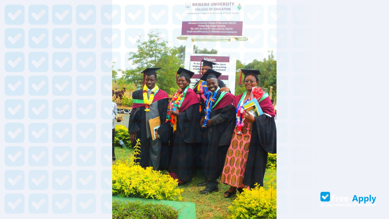 Mkwawa University College of Education photo #4