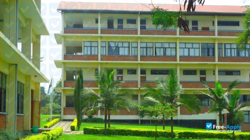 Tumaini University Makumira photo #3