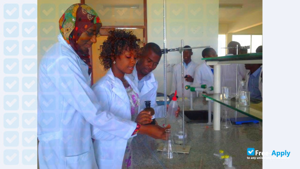 University of Dodoma photo #1