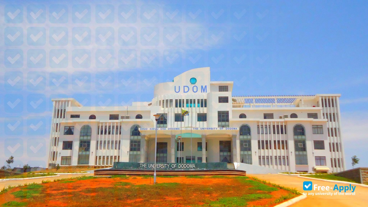 Foto de la University of Dodoma #7