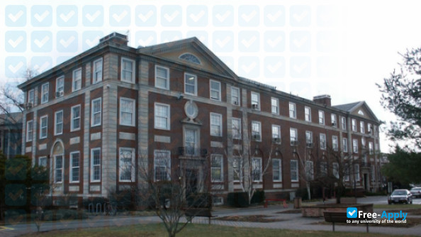 Adelphi University фотография №5