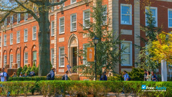 Adelphi University photo #2