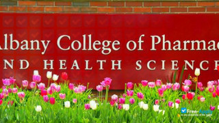Albany College of Pharmacy and Health Sciences vignette #6