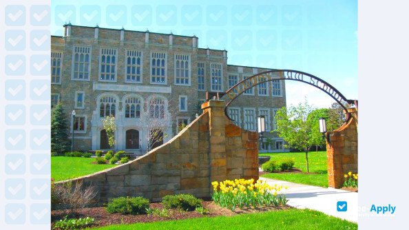 Albany Law School photo #6