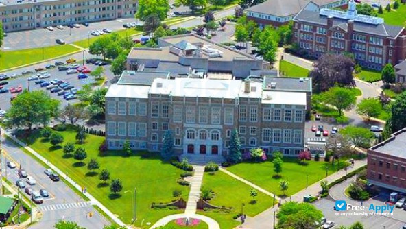 Albany Law School photo #10