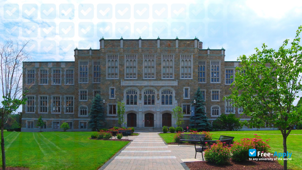 Albany Law School photo #13