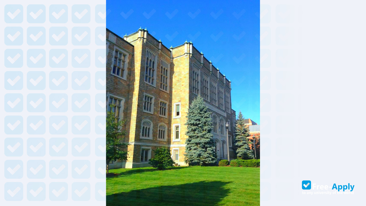 Albany Law School photo #11