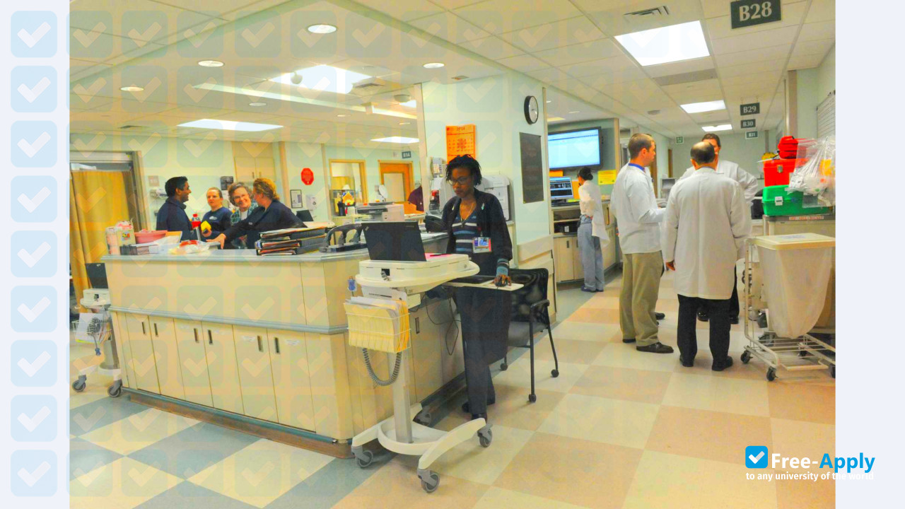 Foto de la Albany Medical College #3