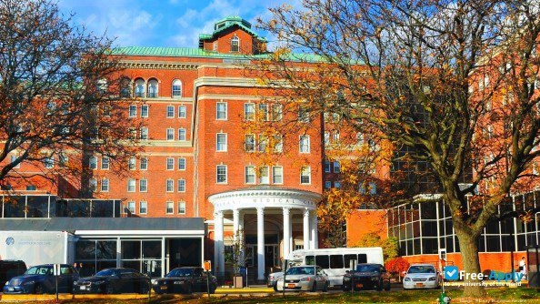 Foto de la Albany Medical College #6