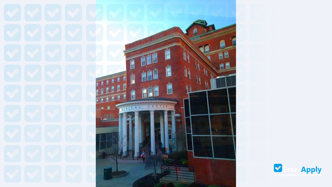 Foto de la Albany Medical College #4