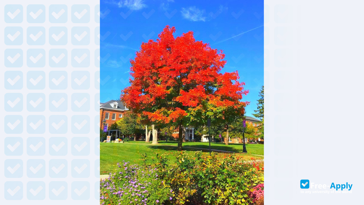 Photo de l’Albion College #6