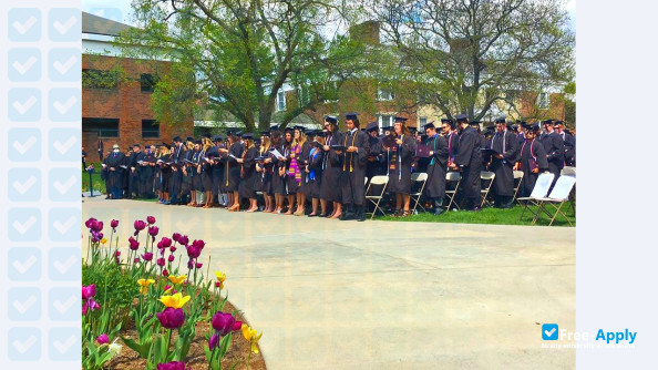 Photo de l’Albion College #9