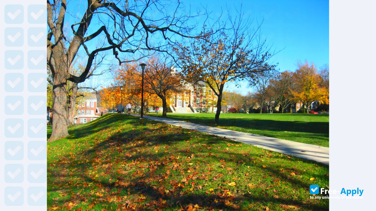 Albright College фотография №11