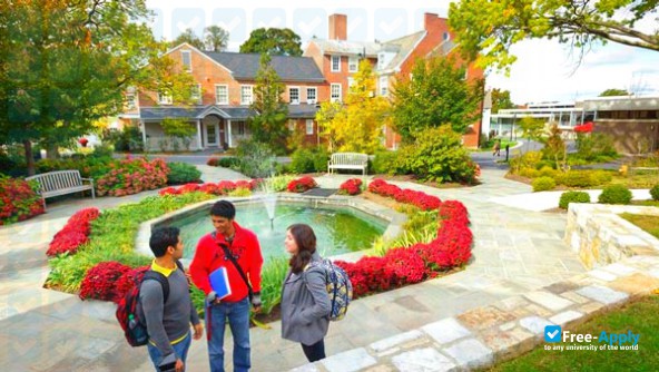 Albright College фотография №3