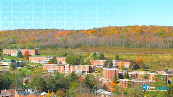 Foto de la Alfred University #5