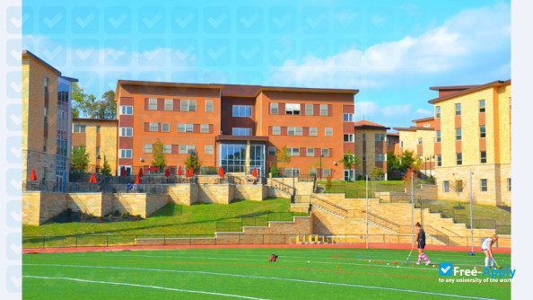 Alvernia University photo #6
